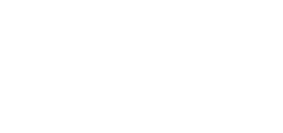 Fluidauto